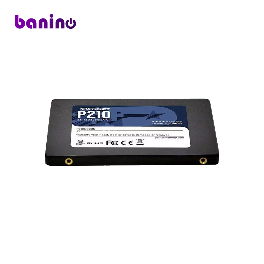 اس اس دی پاتریوت P210 SATA III 256GB